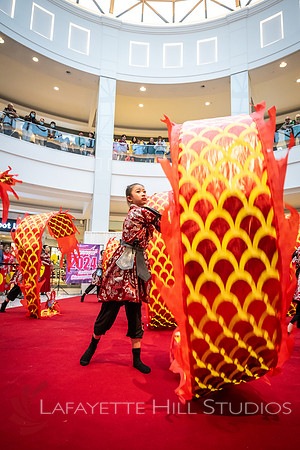 KOP-Lunar New Year2025 Dragon_0144