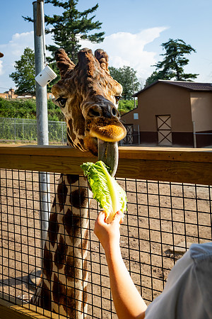 FIP-2025-30th Anniversary-Zoo_0080