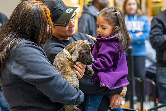KOP Pet-Adoption2025_0115