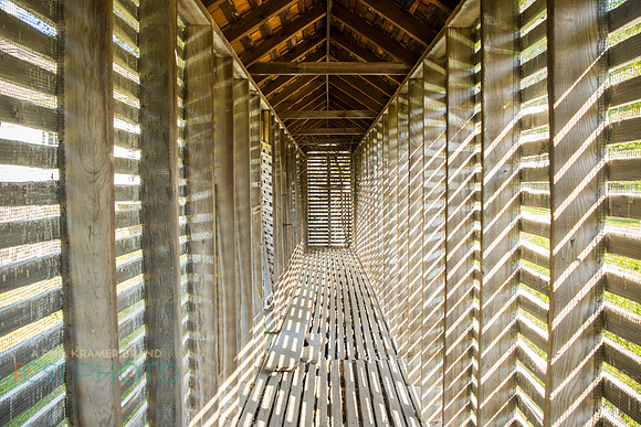 Rutstein_0004