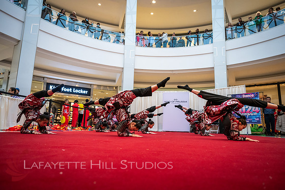 KOP-Lunar New Year2025 Dragon_0137