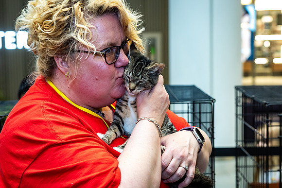 KOP Pet-Adoption2025_0146