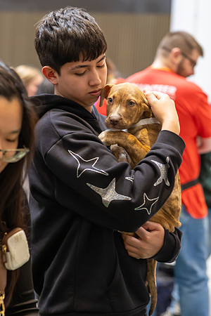 KOP Pet-Adoption2025_0107