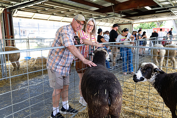 Allentown fair 2025_0019