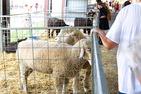 Allentown fair 2025_0024