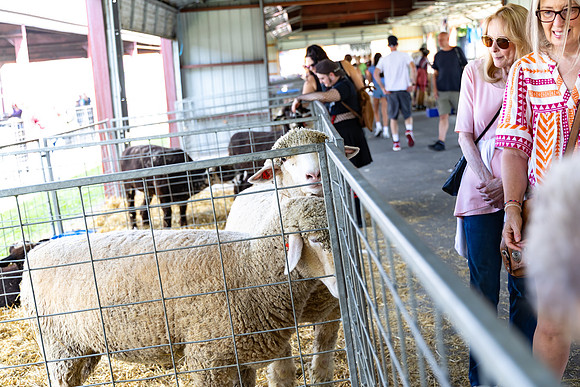 Allentown fair 2025_0025