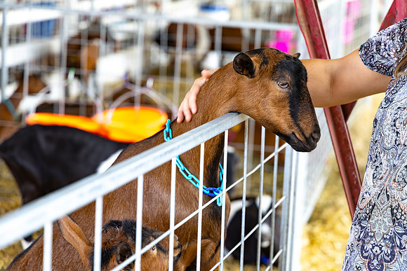 Allentown fair 2025_0028