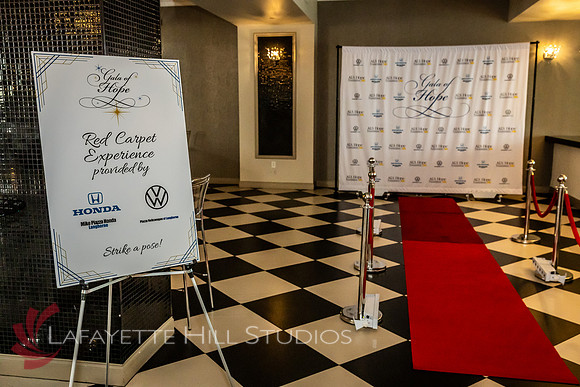 ALS Hope Foundation Gala-2025_0005