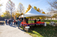 Parkensons Walk-2025_0011
