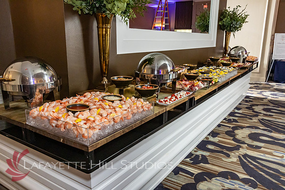 ALS Hope Foundation Gala-2025_0070