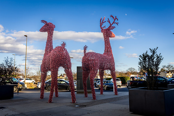KOP2025-Black Friday_0018