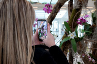 KOP Luxury Event Flower Show0012