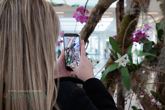 KOP Luxury Event Flower Show0012