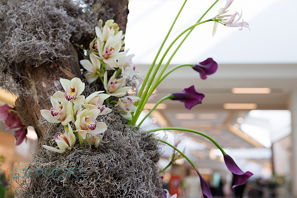 KOP Luxury Event Flower Show0086