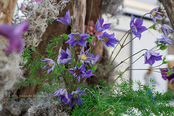 KOP Luxury Event Flower Show0091