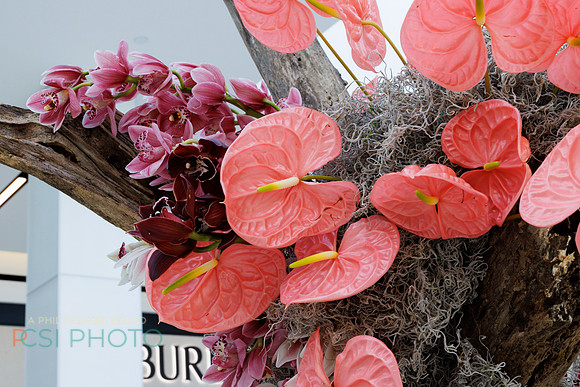 KOP Luxury Event Flower Show0095