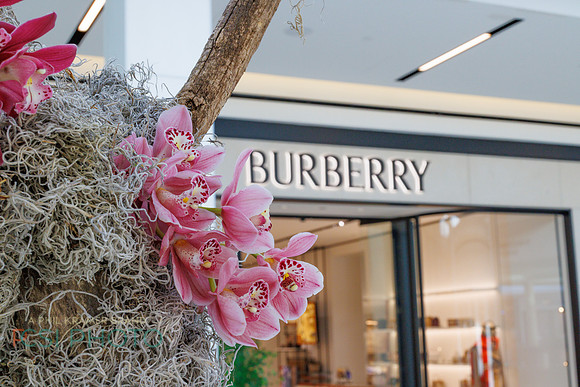 KOP Luxury Event Flower Show0096