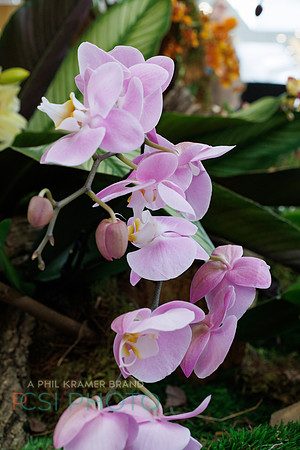 KOP Luxury Event Flower Show0102