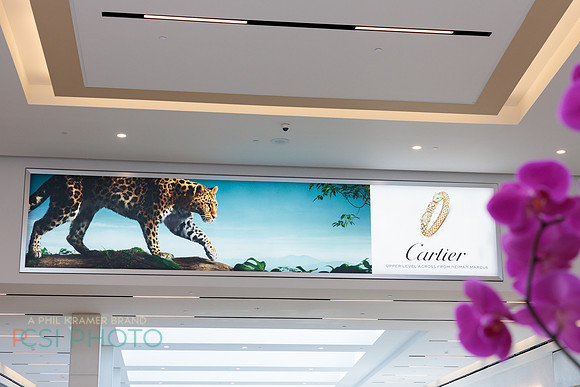 KOP Luxury Event Flower Show0107