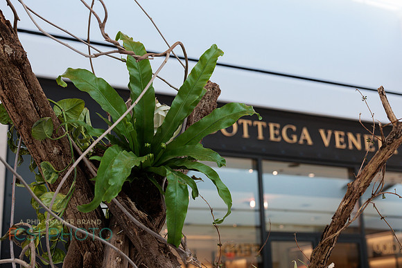 KOP Luxury Event Flower Show0035
