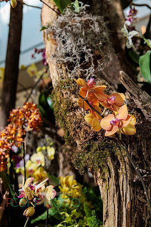 KOP Luxury Event Flower Show0064