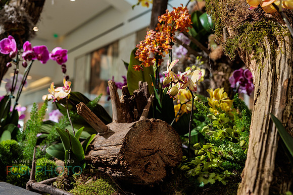 KOP Luxury Event Flower Show0065