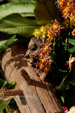 KOP Luxury Event Flower Show0068