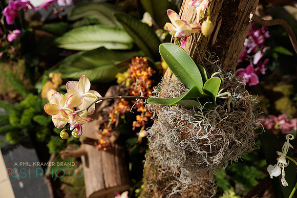 KOP Luxury Event Flower Show0069