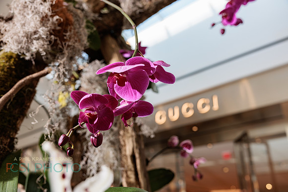 KOP Luxury Event Flower Show0070
