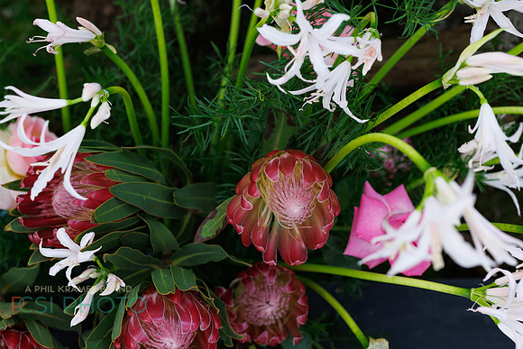 KOP Luxury Event Flower Show0088