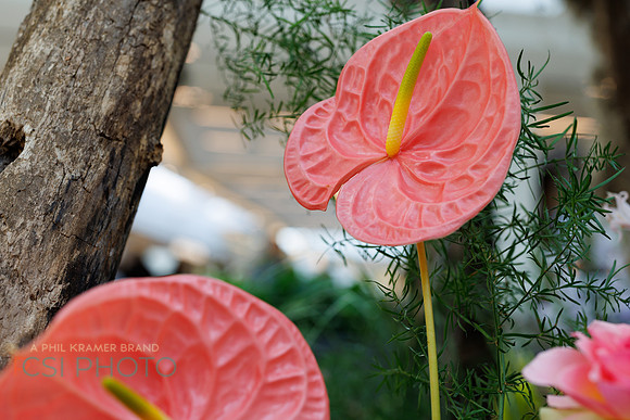 KOP Luxury Event Flower Show0089