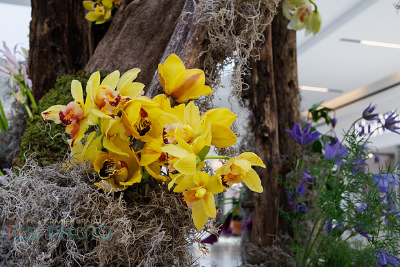 KOP Luxury Event Flower Show0094