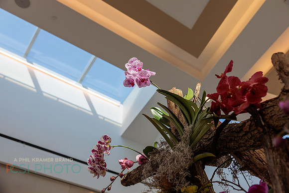 KOP Luxury Event Flower Show0105
