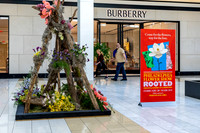 KOP2026-Luxury Event Flower Show_0001