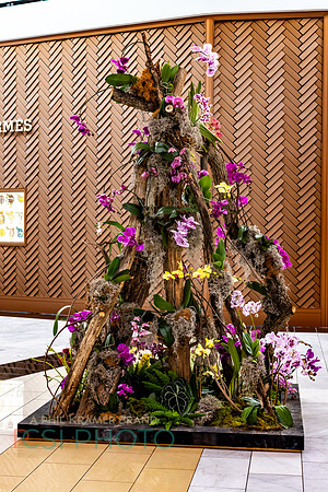 KOP2026-Luxury Event Flower Show_0018