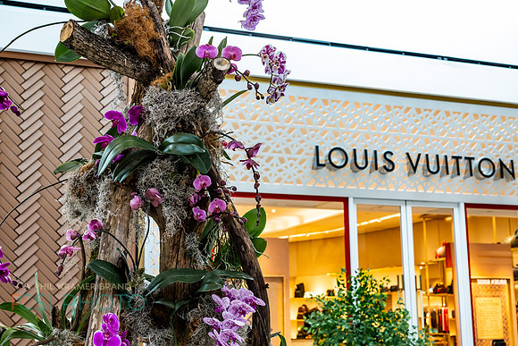KOP2026-Luxury Event Flower Show_0025