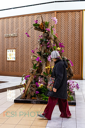 KOP2026-Luxury Event Flower Show_0019