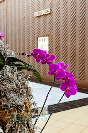 KOP2026-Luxury Event Flower Show_0026