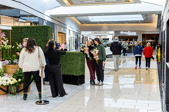 KOP2026-Luxury Event Flower Show_0135