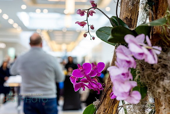 KOP2026-Luxury Event Flower Show_0155