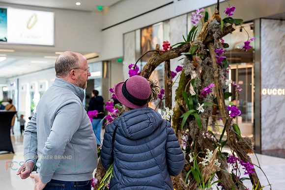 KOP2026-Luxury Event Flower Show_0172