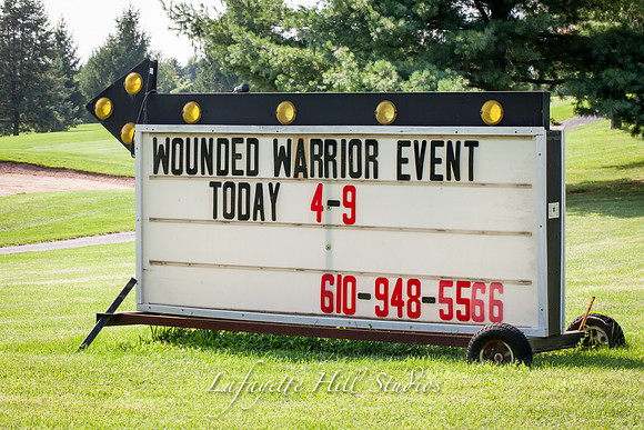 043_WoundedWarrior