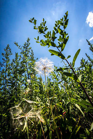 0195_RailPark