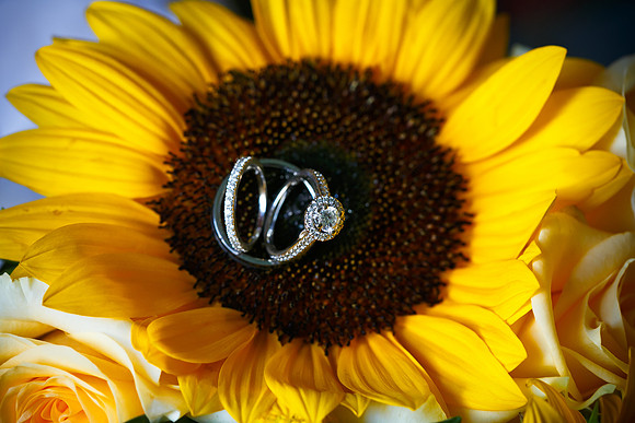 0099 Manis