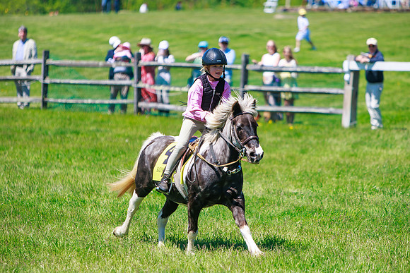 Rajant2026Radnor Hunt Races _0171