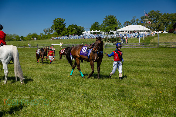 Rajant2026Radnor Hunt Races _0014