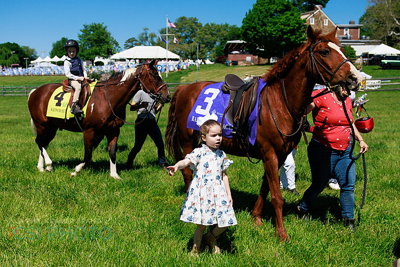 Rajant2026Radnor Hunt Races _0018