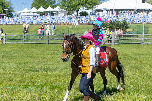 Rajant2026Radnor Hunt Races _0060