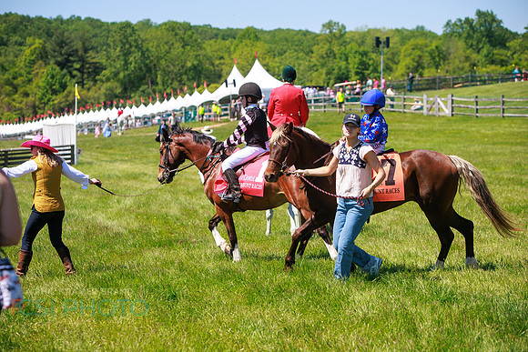 Rajant2026Radnor Hunt Races _0079