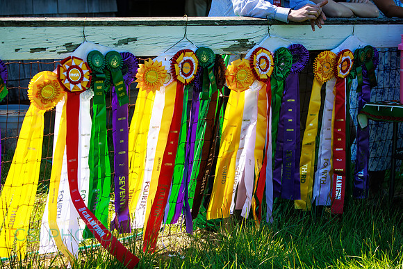 Rajant2026Radnor Hunt Races _0082
